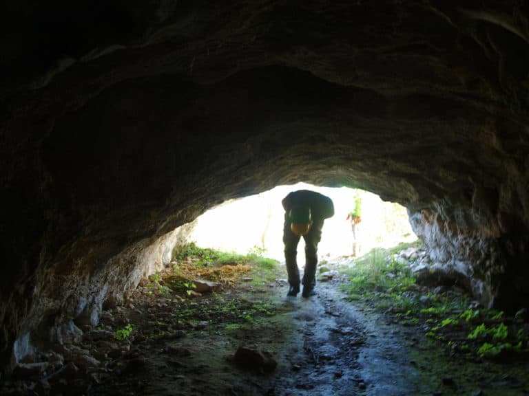 Visita Guiada a la Cueva del Oso de Tella