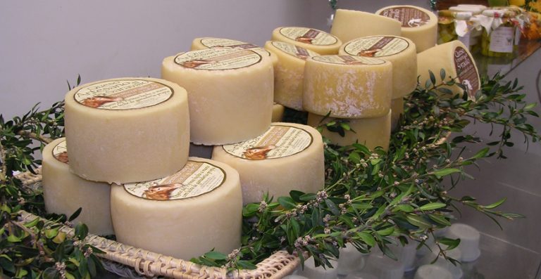 Fábrica de queso de Saravillo