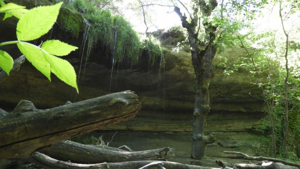 Cueva del Anis - Cueva del Alambique