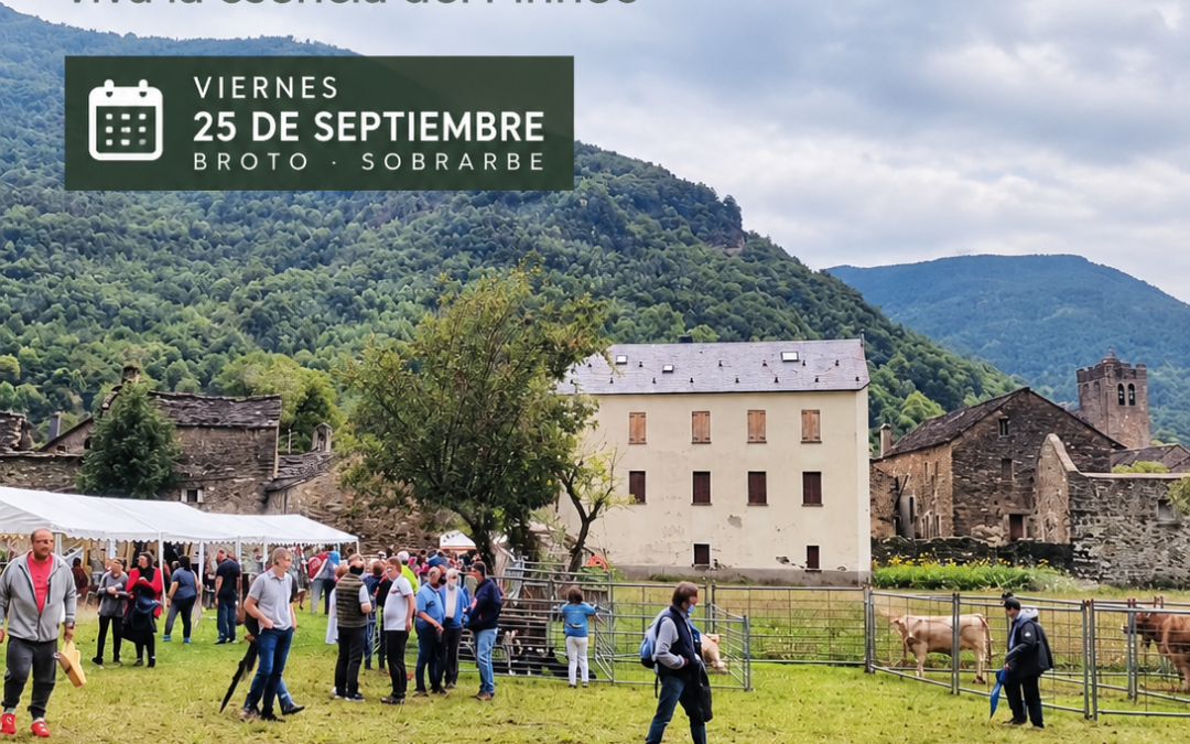 Feria Ganadera de Broto 2026 en Sobrarbe, una de las citas tradicionales de la ganadería del Pirineo Aragonés