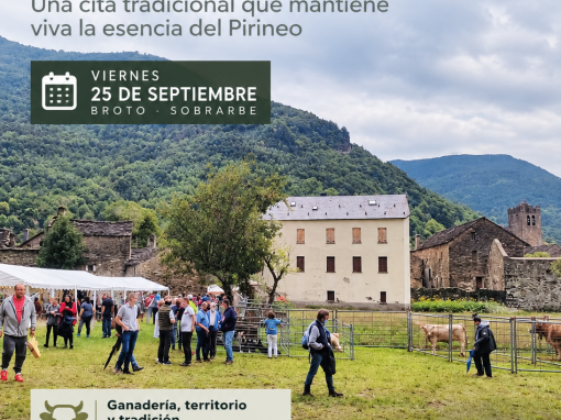Feria Ganadera de Broto 2026 en Sobrarbe, una de las citas tradicionales de la ganadería del Pirineo Aragonés