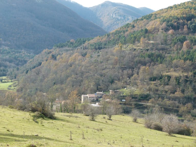 Salarça