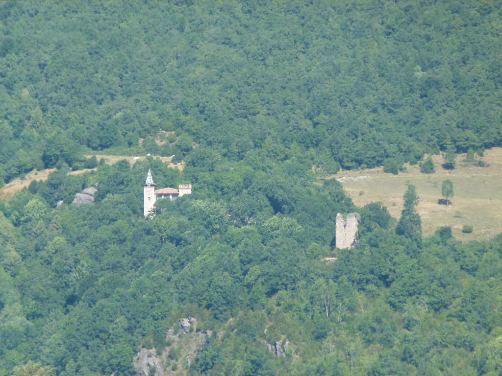 Cavallera