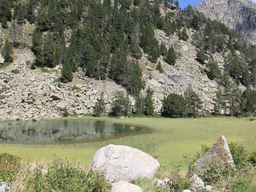 Lago y paisaje de montaña del Parque Nacional de Aigüestortes i Estany de Sant Maurici