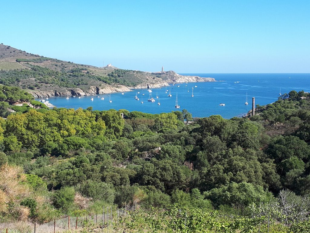 Bahía de Paulilles, vegetación mediterránea y cabo Béar en la costa del Rosellón