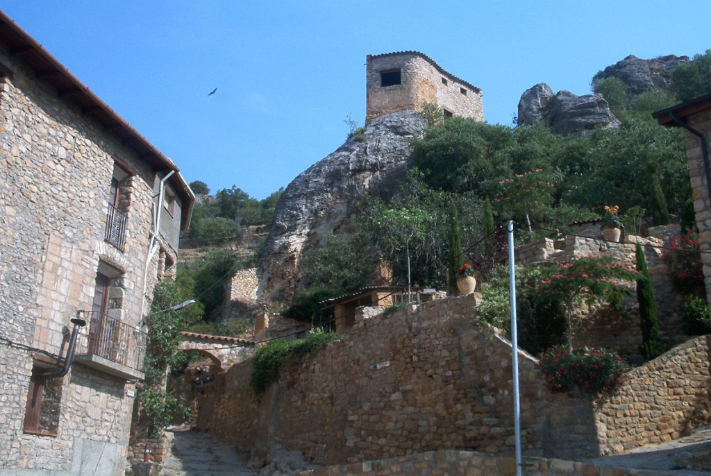 Arén