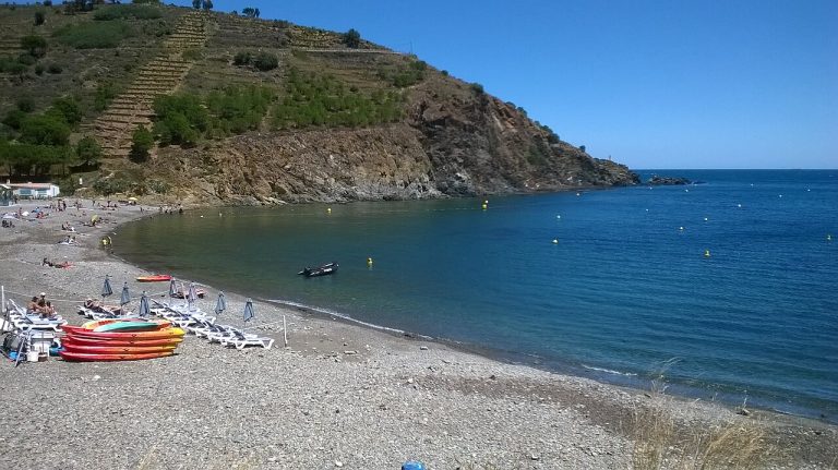 Pirineos Pirineo Reserva Natural Marina de Cerbère–Banyuls 4 Paisaje litoral y aguas de la Reserva Natural Marina de Cerbère–Banyuls, Pirineo mediterráneo