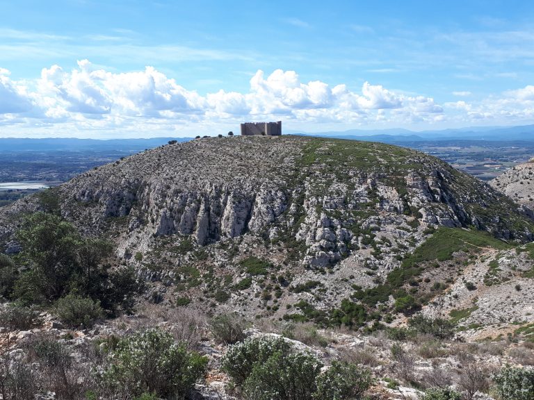 Pirineos Pirineo Castillo del Montgrí 5 Castillo medieval del Montgrí sobre la montaña