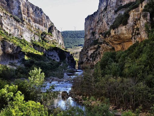 Foz de Lumbier: paredes de roca caliza y río Irati entre las montañas de Navarra