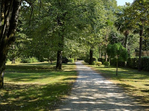 Camino arbolado en el jardín histórico del Parque Natural Señorío de Bertiz, Navarra
