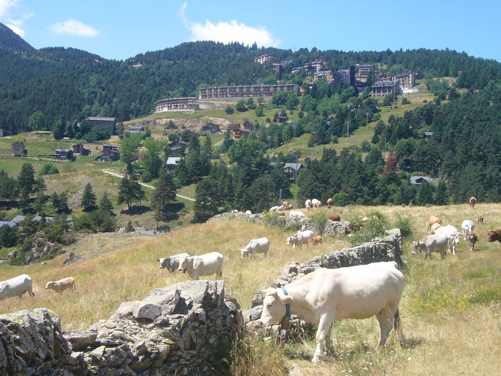 La Molina