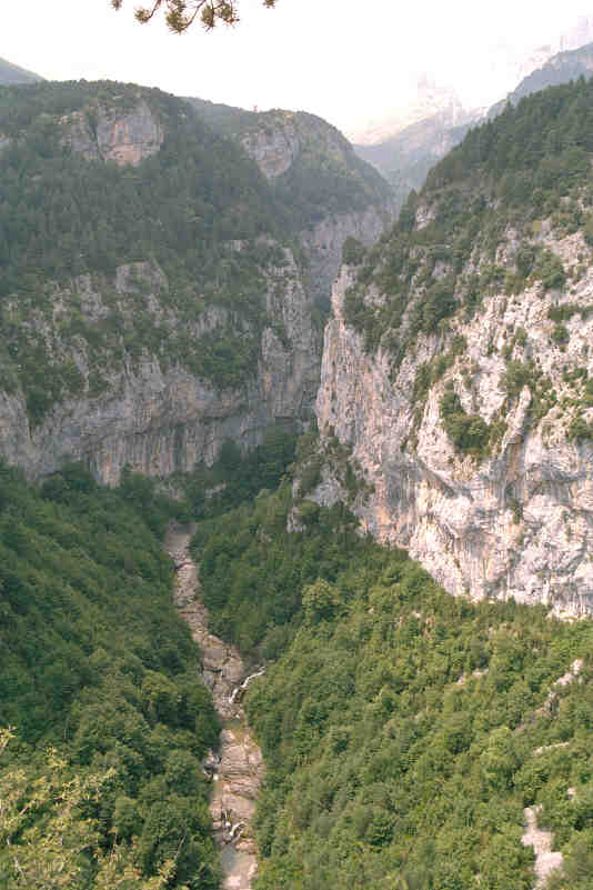 Pirineos Pirineo Miradores de Revilla: observación del quebrantahuesos en Escuaín 9 Gargantas de Escuaín vistas desde el Mirador de Revilla con paredes y bosque pirenaico