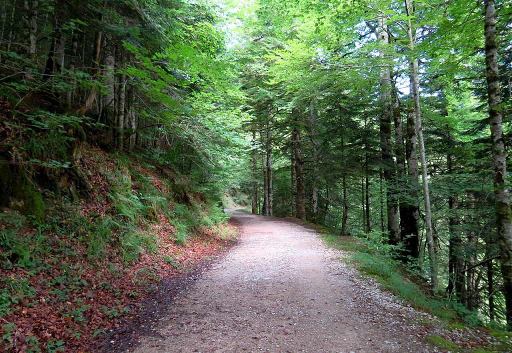 Pirineo navarro