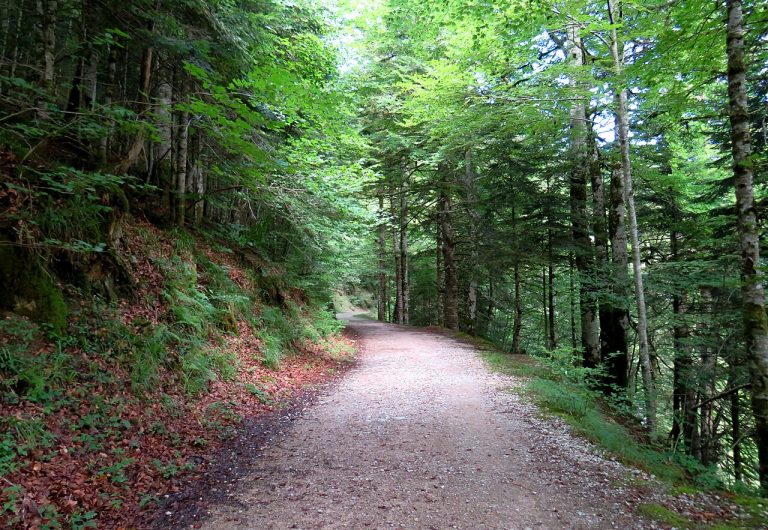 Pirineo navarro
