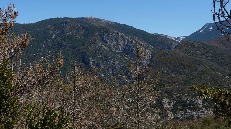 Pirineos Pirineo Espacio Natura 2000 Serra de Boumort 3 Panorama de la Serra de Boumort con bosques y roquedos del Prepirineo catalán