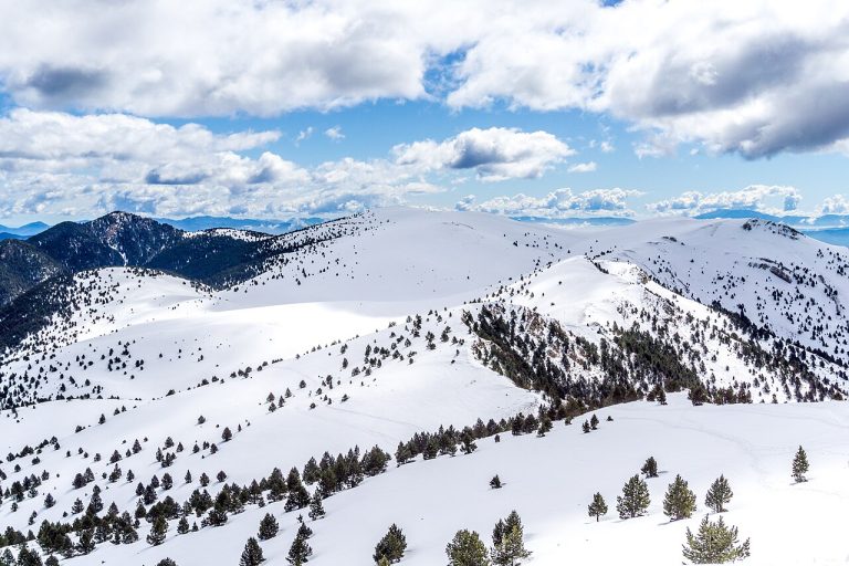 Pirineos Pirineo Espacio Natural Serra d’Ensija–els Rasos de Peguera 6 Paisaje de nieve, pinos y crestas de la sierra de Ensija desde la cumbre de la Gallina Pelada, Berguedà