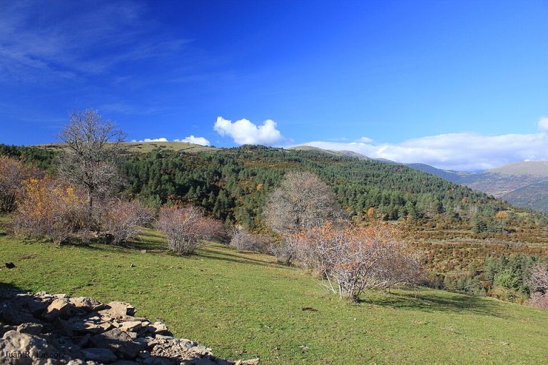 Pirineos Pirineo Ainielle – Pueblo abandonado de Sobrepuerto 3 Montañas y praderas del Sobrepuerto próximas al Cuello Ainielle; no aparecen las ruinas del pueblo