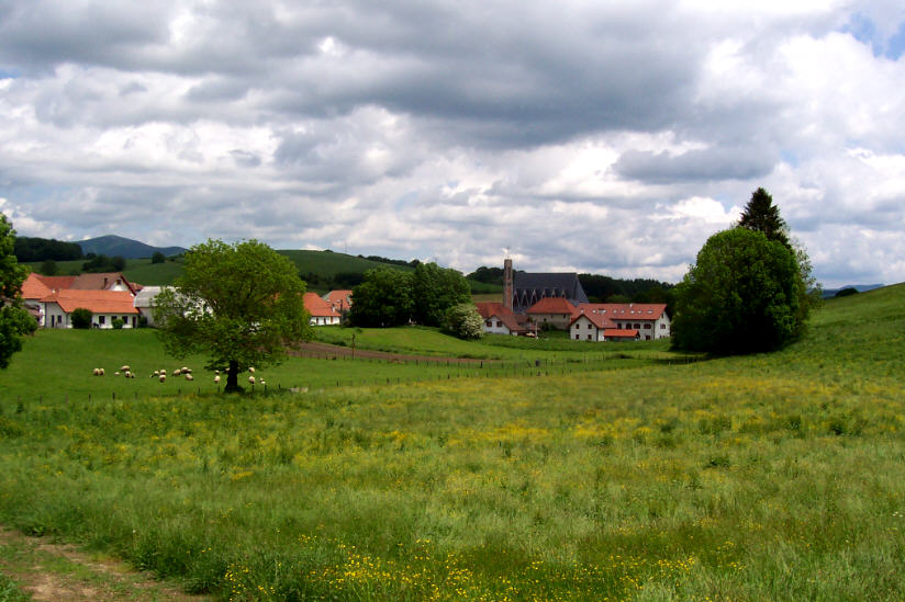 Valle de Erro: Camino de Santiago y bosques navarros