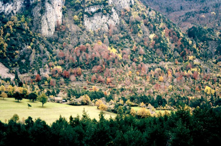 Valle de Hecho
