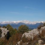 OLYMPUS DIGITAL CAMERA Pirineo Pirineos Ordesa Sobrarbe Pirineos.com - Infopirineo