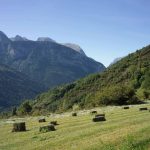 Pirineos Pirineo Gistaín 12 Pirineo Pirineos Ordesa Sobrarbe Pirineos.com - Infopirineo