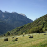 Pirineos Pirineo Gistaín 12 Pirineo Pirineos Ordesa Sobrarbe Pirineos.com - Infopirineo