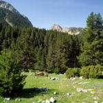 Pirineos Pirineo Ibón de Plan - Basa La Mora 40 Pirineo Pirineos Ordesa Sobrarbe Pirineos.com - Infopirineo