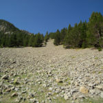 Pirineos Pirineo Ibón de Plan - Basa La Mora 39 Pirineo Pirineos Ordesa Sobrarbe Pirineos.com - Infopirineo