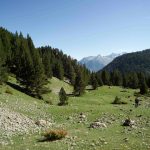 Pirineos Pirineo Ibón de Plan - Basa La Mora 38 Pirineo Pirineos Ordesa Sobrarbe Pirineos.com - Infopirineo