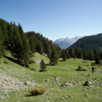 Pirineos Pirineo Ibón de Plan - Basa La Mora 38 Pirineo Pirineos Ordesa Sobrarbe Pirineos.com - Infopirineo