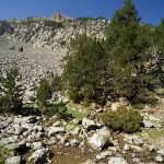 Pirineos Pirineo Ibón de Plan - Basa La Mora 36 Pirineo Pirineos Ordesa Sobrarbe Pirineos.com - Infopirineo