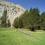 Pirineos Pirineo Ibón de Plan - Basa La Mora 32 Pirineo Pirineos Ordesa Sobrarbe Pirineos.com - Infopirineo