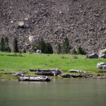 Pirineos Pirineo Ibón de Plan - Basa La Mora 29 Pirineo Pirineos Ordesa Sobrarbe Pirineos.com - Infopirineo