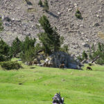 Pirineos Pirineo Ibón de Plan - Basa La Mora 28 Pirineo Pirineos Ordesa Sobrarbe Pirineos.com - Infopirineo