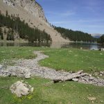 Pirineos Pirineo Ibón de Plan - Basa La Mora 14 Pirineo Pirineos Ordesa Sobrarbe Pirineos.com - Infopirineo