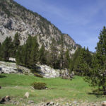 Pirineos Pirineo Ibón de Plan - Basa La Mora 4 Pirineo Pirineos Ordesa Sobrarbe Pirineos.com - Infopirineo