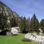 Pirineos Pirineo Ibón de Plan - Basa La Mora 3 Pirineo Pirineos Ordesa Sobrarbe Pirineos.com - Infopirineo