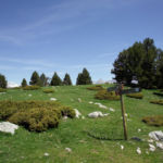 Pirineos Pirineo Ibón de Plan - Basa La Mora 2 Pirineo Pirineos Ordesa Sobrarbe Pirineos.com - Infopirineo