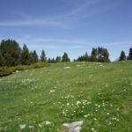 Pirineos Pirineo Ibón de Plan - Basa La Mora 1 Pirineo Pirineos Ordesa Sobrarbe Pirineos.com - Infopirineo