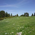 Pirineos Pirineo Ibón de Plan - Basa La Mora 1 Pirineo Pirineos Ordesa Sobrarbe Pirineos.com - Infopirineo