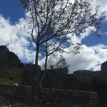 Pirineos Pirineo Monasterio de San Victorián 16 Pirineo Pirineos Ordesa Sobrarbe Pirineos.com - Infopirineo