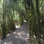 Pirineos Pirineo Cañón de Añisclo - Ordesa 3 Pirineo Pirineos Ordesa Sobrarbe Pirineos.com - Infopirineo