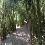 Pirineos Pirineo Cañón de Añisclo - Ordesa 3 Pirineo Pirineos Ordesa Sobrarbe Pirineos.com - Infopirineo