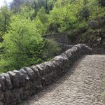 Pirineos Pirineo Cañón de Añisclo - Ordesa 12 Pirineo Pirineos Ordesa Sobrarbe Pirineos.com - Infopirineo