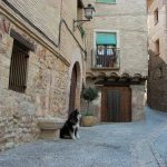 Pirineos Pirineo Alquézar 17 Pirineo Pirineos Ordesa Sobrarbe Pirineos.com - Infopirineo