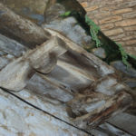 Pirineos Pirineo Boltaña 12 Pirineo Pirineos Ordesa Sobrarbe Pirineos.com - Infopirineo