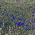 Pirineos Pirineo Parque Natural Posets-Maladeta 2 Pirineo Pirineos Ordesa Sobrarbe Pirineos.com - Infopirineo