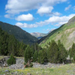 Pirineos Pirineo Parque Natural Posets-Maladeta 6 Pirineo Pirineos Ordesa Sobrarbe Pirineos.com - Infopirineo