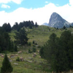 Pirineos Pirineo Parque Natural Posets-Maladeta 11 Pirineo Pirineos Ordesa Sobrarbe Pirineos.com - Infopirineo