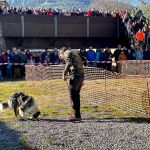 Los Premios Cruz de Sobrarbe feria trufa ferieta ainsa Los Premios Cruz de Sobrarbe feria trufa ferieta ainsa